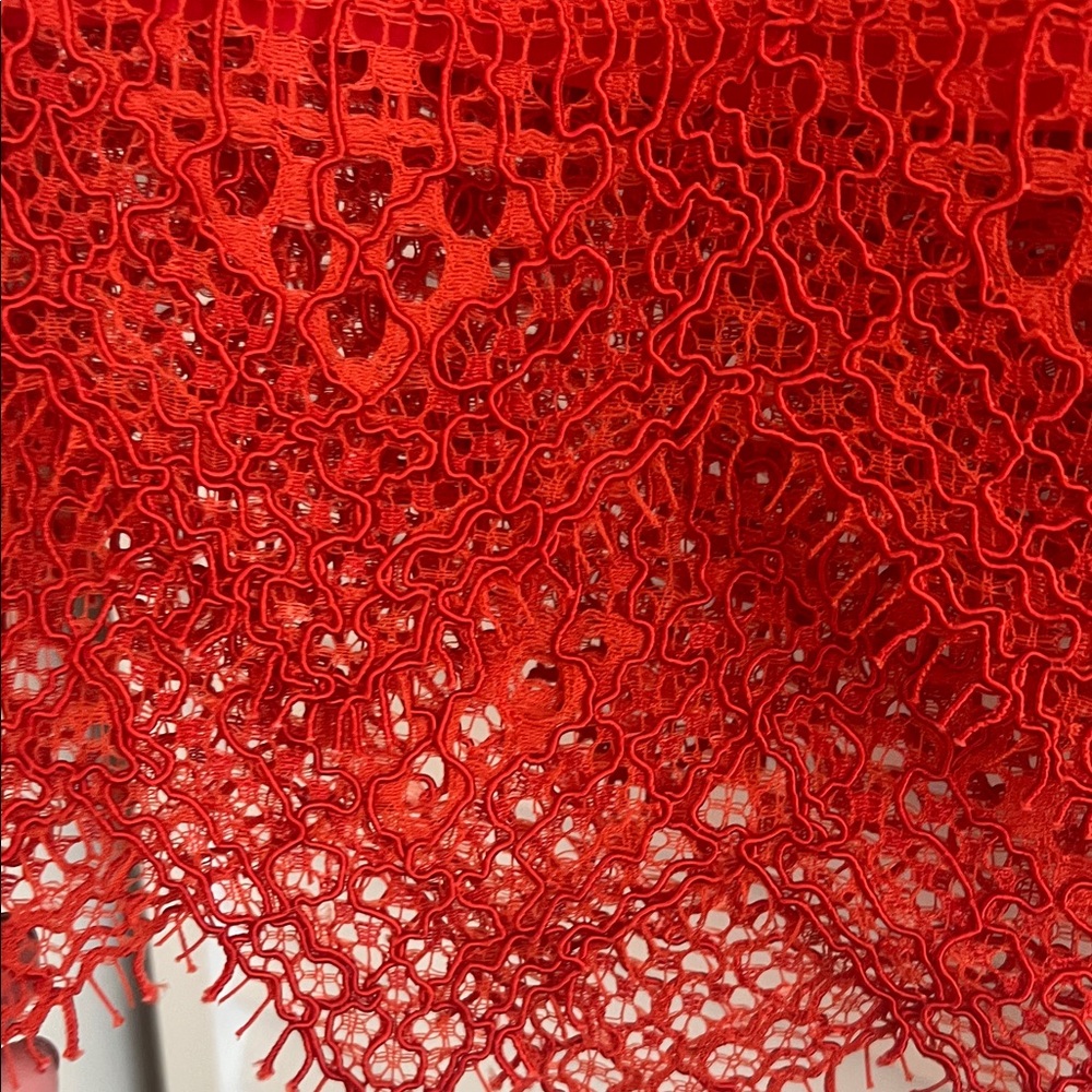 Banana Republic Elegant Red Lace Skirt - Picture 7 of 11